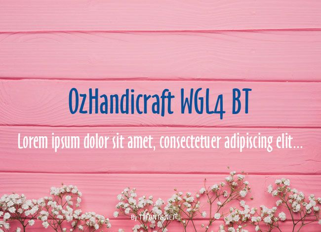 OzHandicraft WGL4 BT example